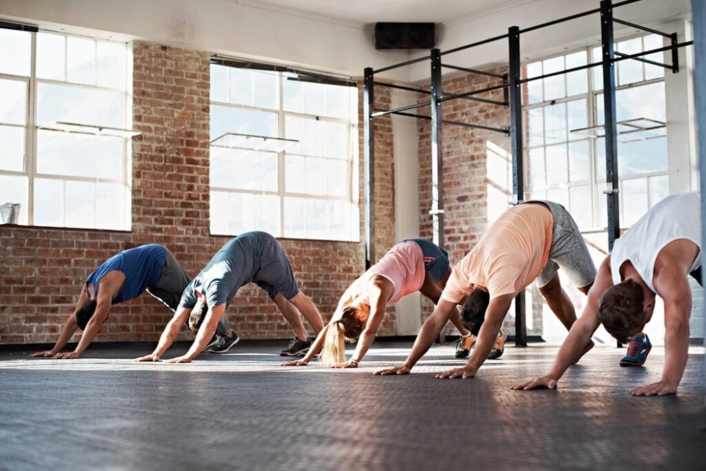 Fitness brands