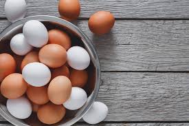 Egg