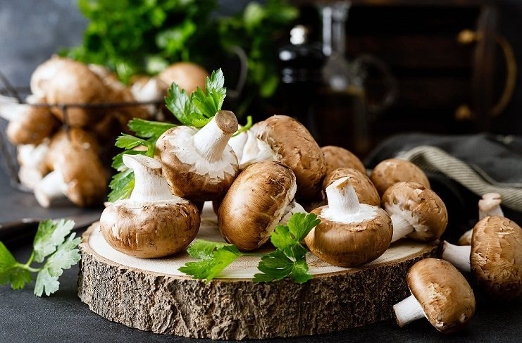 A mushroom's health benefits are numerous