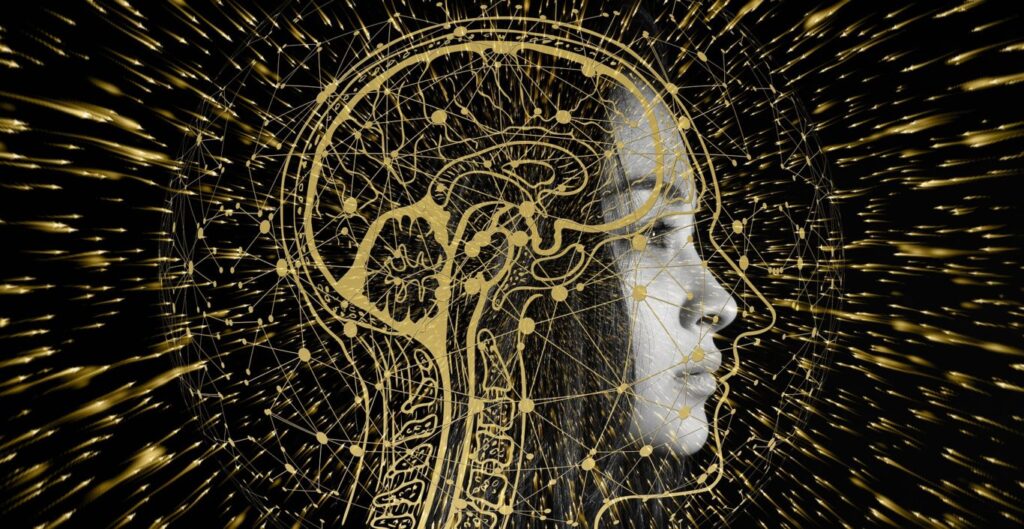 Parkinson's Disease Assessment For Neurocognitive Disorders