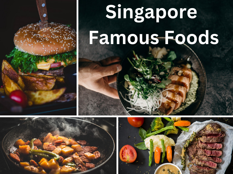 Singapore Famous Foods