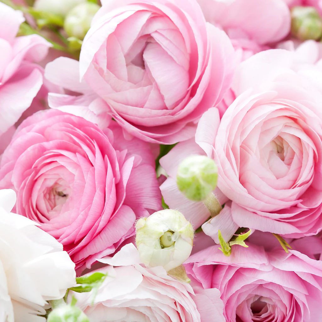 The Ultimate Guide to Choosing the Right Flower Arrangement