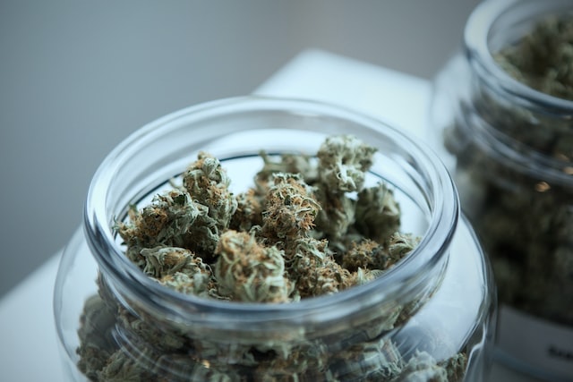 cannabis dispensary