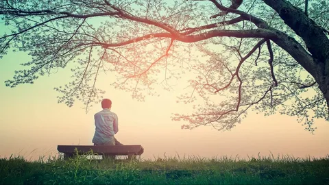The Art of Mindful Living: Finding Peace and Presence in Everyday Life