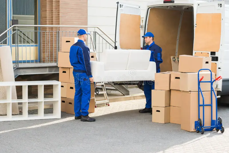 movers in dubai