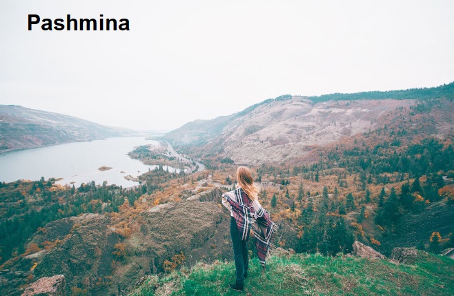 Pashmina