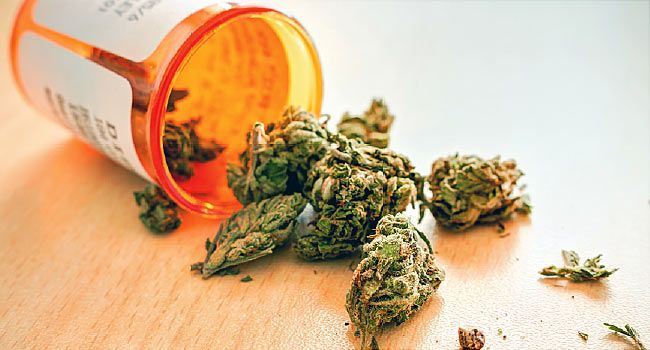 medical marijuanas card michigan