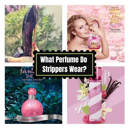 List of 5 Best Perfume Do Strippers Wear