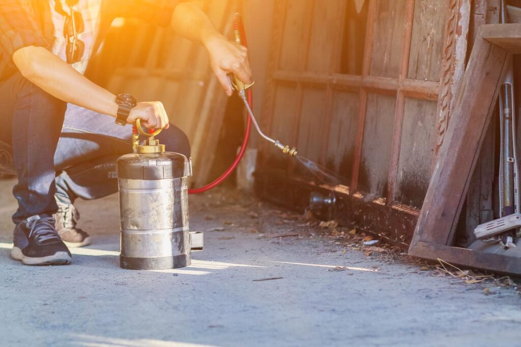 How Pest And Termite Control Services Can Help