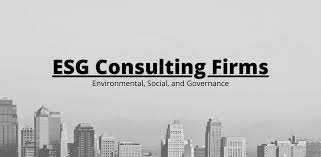 ESG Advisors in the USA