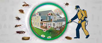 pest control georgetown