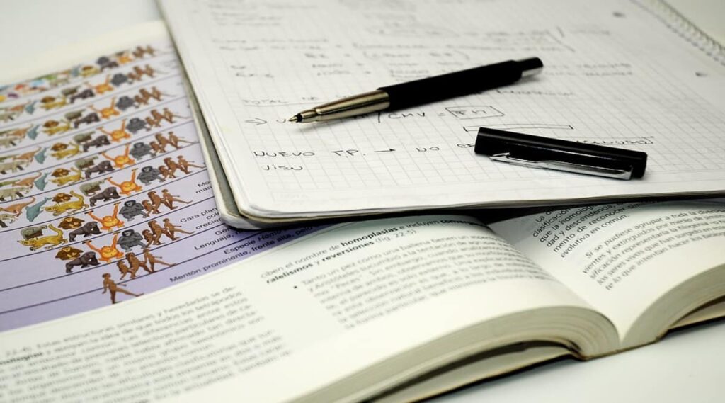 10 Tips for Writing an SEO Article That Ranks in 2023