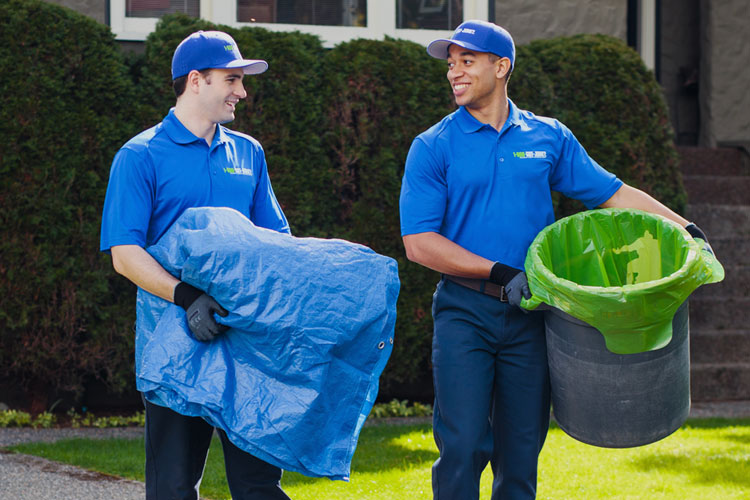 Delaware's Top-Rated Removal Experts