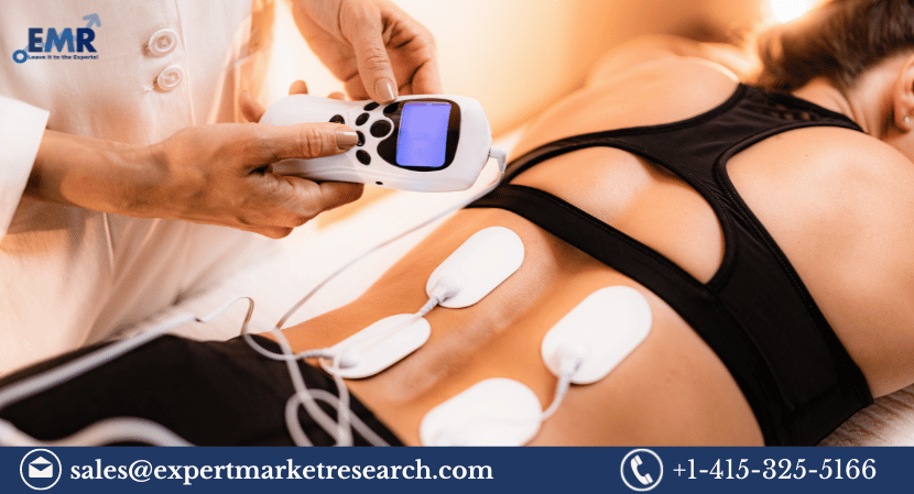 Sacral Nerve Stimulation Market
